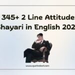2 Line Attitude Shayari in English