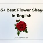 Flower Shayari in English