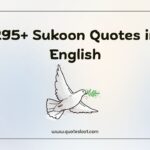 Sukoon Quotes in English